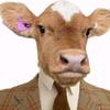 Hershel Mraz